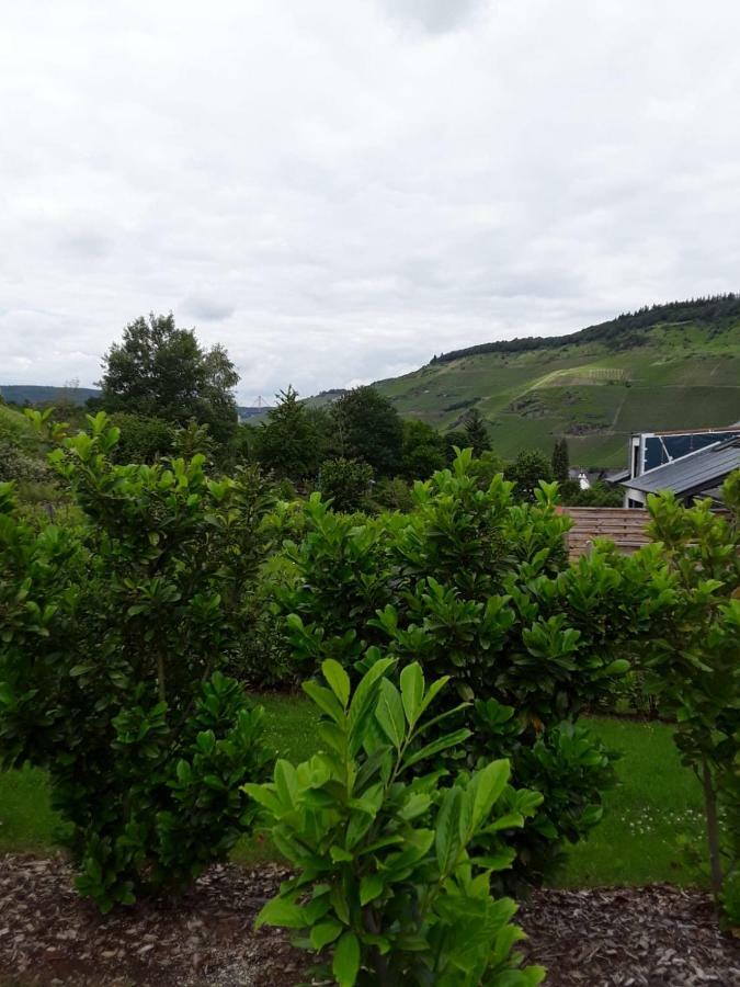 Fewo Kaufmann Verbandsgemeinde Verbandsgemeinde Bernkastel-Kues Buitenkant foto